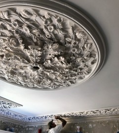 Glen Mary, ceiling medallion, plaster ornament, architectural ornament, morning glories