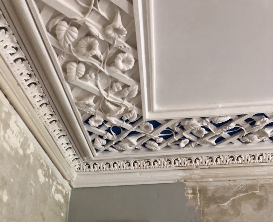 morning glory, border, trellis, plaster ornament, architectural ornament, 