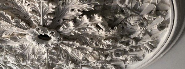 Glen Mary, ceiling medallion, plaster ornament, architectural ornament, morning glories